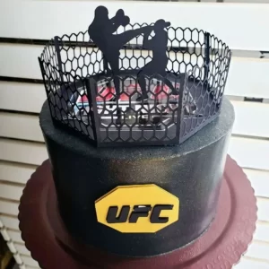 Arquivo Topo de Bolo Luta Ufc Studio